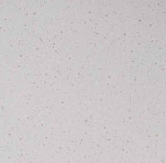 Torino Pearl Marble & Stone Laminate 8x4 ft 1 mm - 5581 JUP