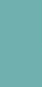 Plain Laminate 8x4 ft Super Matte 1 mm - 559 SMT