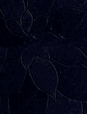 Finish Blue Wood Laminate 8x4 ft Texture 0.8 mm - 5715 SFL