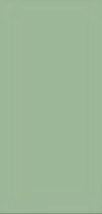 Finish Green Plain Laminate 8x4 ft High Gloss 0.8 mm - 5762 HGS