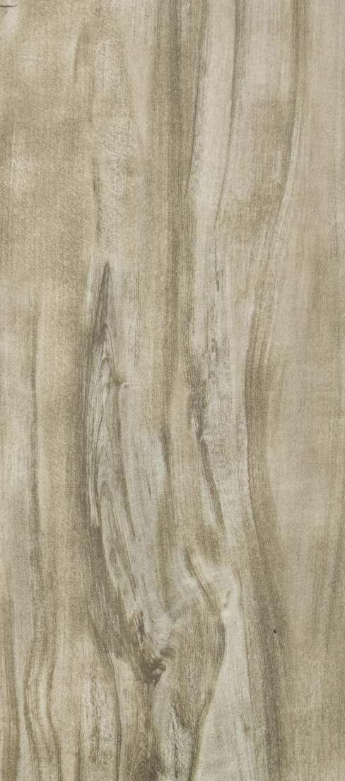 Allepy Birch Wood Laminate 8x4 ft High Gloss 1 mm - 577 MR