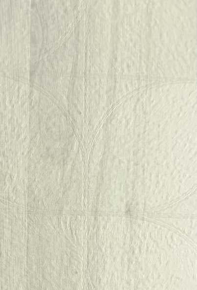 White wood laminate with textured finish and wood grain pattern, showing subtle embossed details and faint circular design