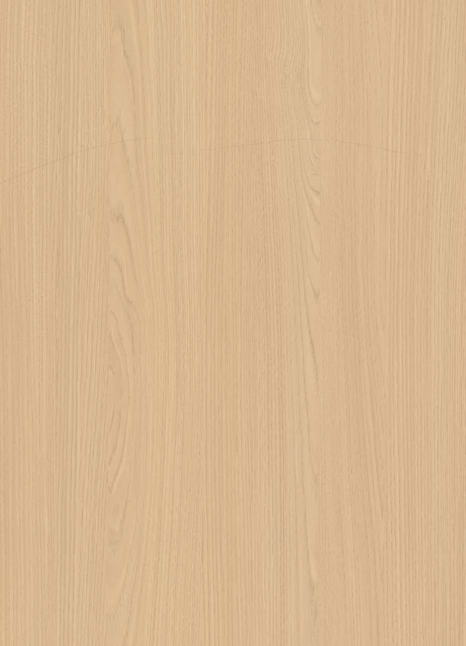 Chic Ash Wood Laminate 8x4 ft Texture 1 mm - 6162 SWD