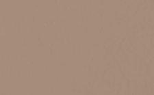 Beige Plain Laminate 8x4 ft Texture 1 mm - 617 NL