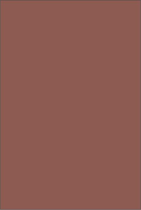 _ Plain Laminate 8x4 ft 1 mm - 6216CC 8