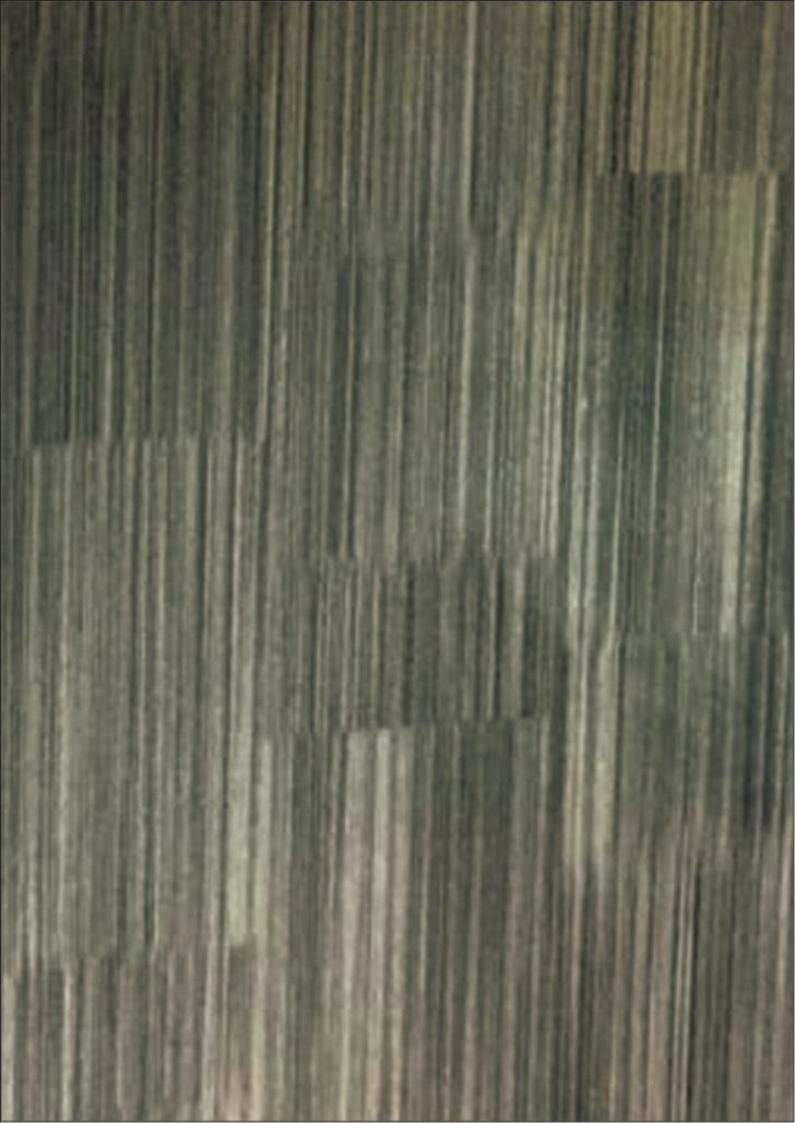 _ Wood Laminate 8x4 ft 1 mm - 6227CC 8