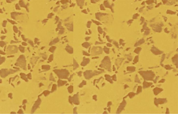 _ Wood Laminate 8x4 ft 1 mm - 6237CC 8