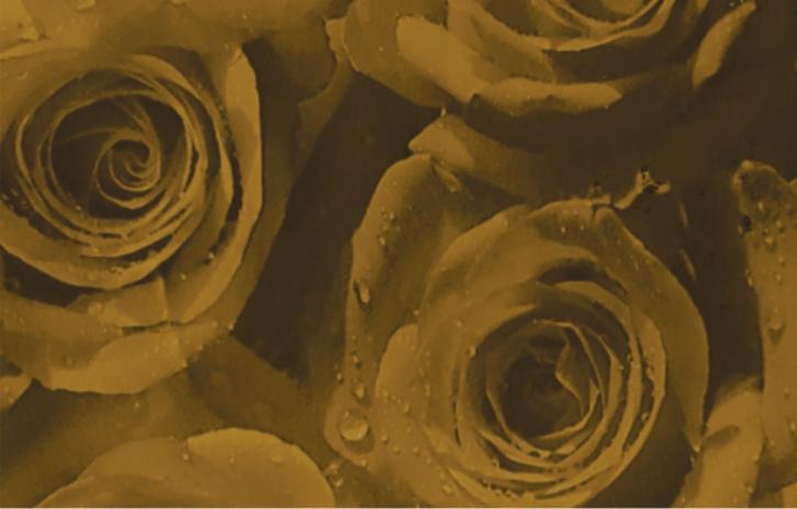 _ Designer Laminate 8x4 ft 1 mm - 6238CC 8