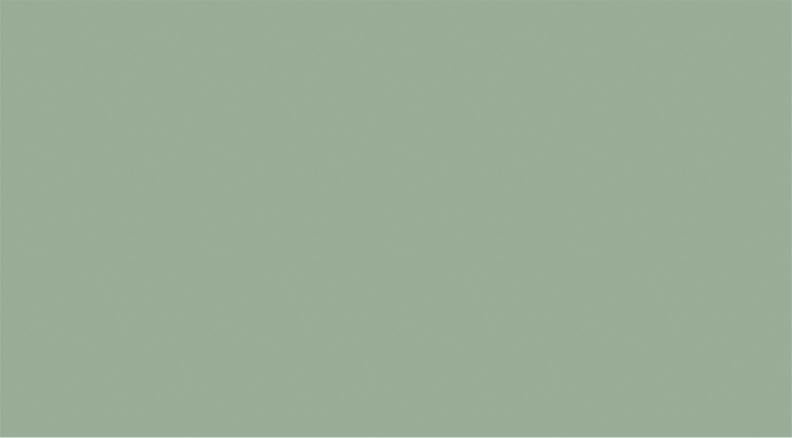 _ Plain Laminate 8x4 ft 1 mm - 6271CC 8