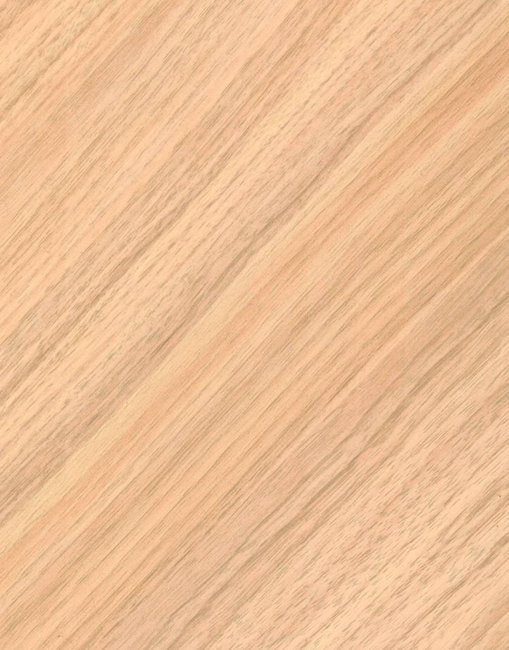 Grand Chevron Light Wood Laminate 8x4 ft Matte 0.8 mm - 6479 DM