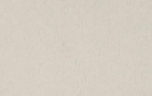 White wood grain laminate with textured finish and subtle grain pattern visible in beige tone surface.