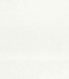 Milky White Plain Laminate 8x4 ft High Gloss 0.8 mm - 7132 PRG