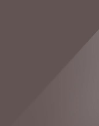 Sliver Grey Plain Laminate 8x4 ft Glossy 0.8 mm - 719 SG