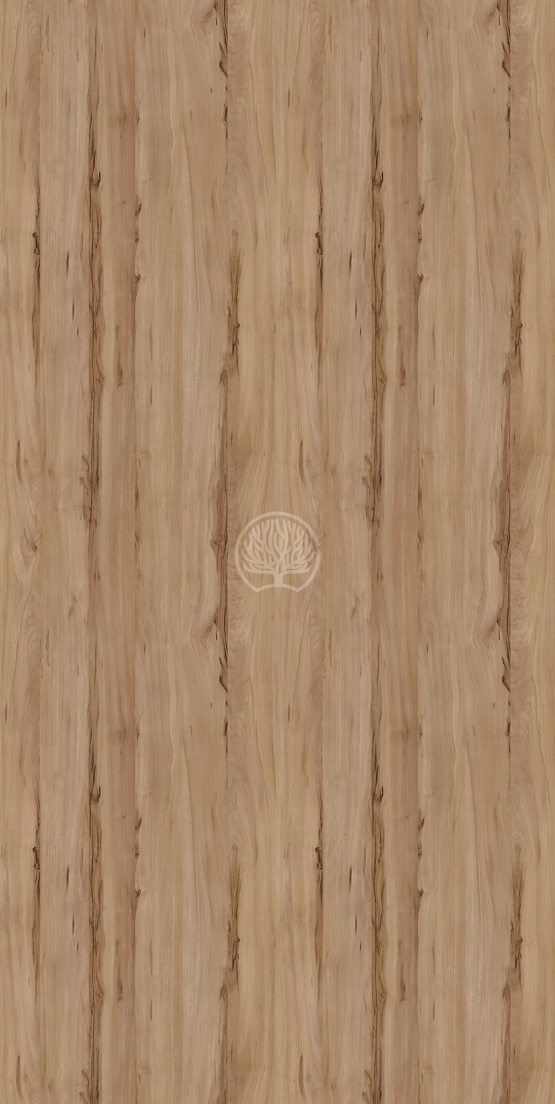 Sapwood Pine Wood Laminate 8x4 ft Suede 1 mm - 7240 SD