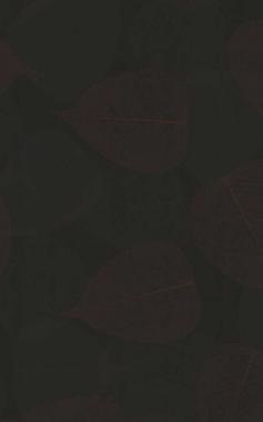 Mocha Oak Wood Laminate 8x4 ft High Gloss 0.8 mm - 7786 HG