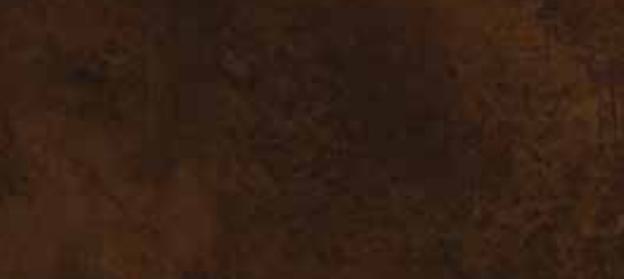 Spirit guides Wood Laminate 8x4 ft Texture 1 mm - 7952 AT