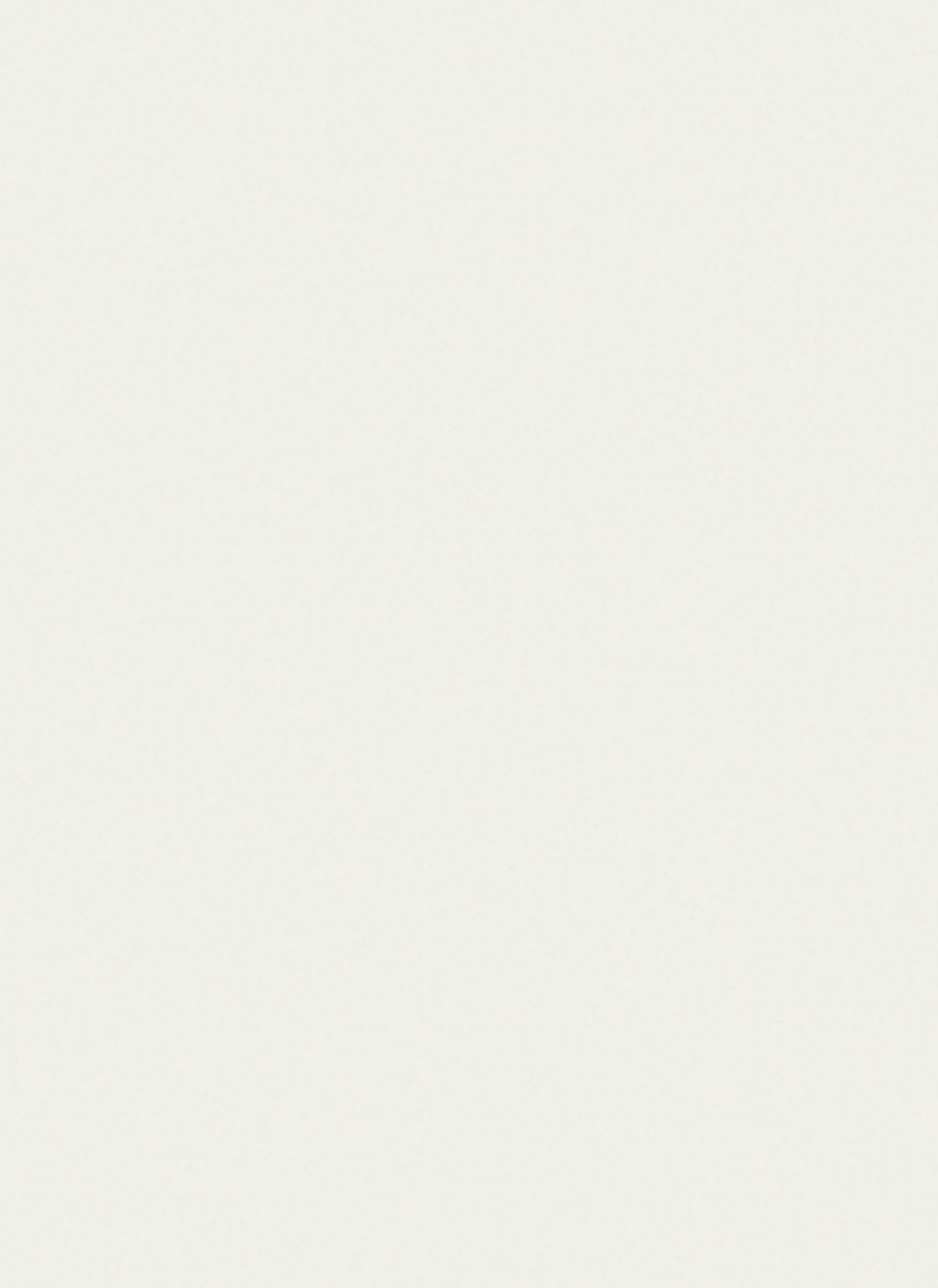 CenturyLaminates Century Starline Frosty White 8x4 ft Texture plain colors laminates Ivory 80113_SU