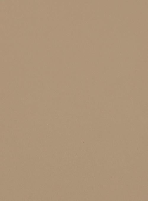 CenturyLaminates Century Starline Ornate Beige 8x4 ft Texture plain colors laminates Brown 80167_SU