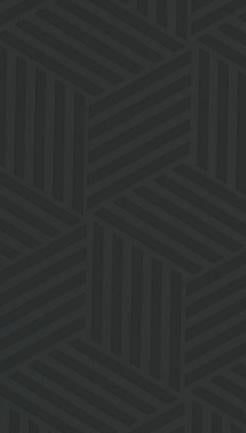 80293 CX Black 8 ft x 4 ft Texture Finish Liner Laminate - 0.8 mm