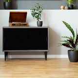 Black high gloss laminate cabinet doors with sleek handles and smooth finish in a modern room setting with plants