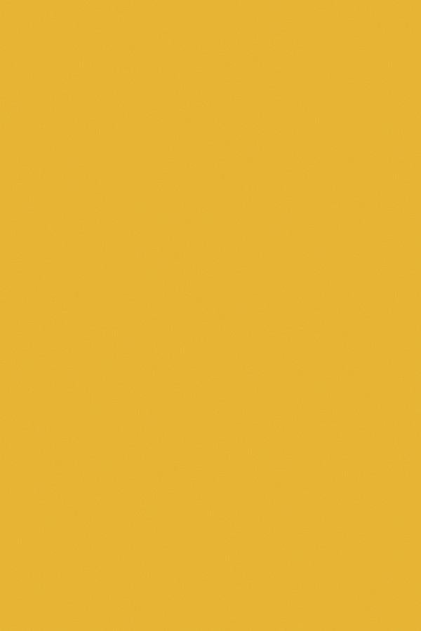 Yellow Plain Laminate 8x4 ft High Gloss 0.8 mm - 8042 HGS