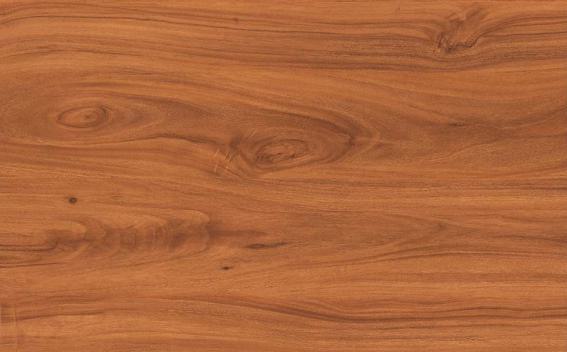 Elm Wood Laminate 8x4 ft Texture 1 mm - 8102 VN