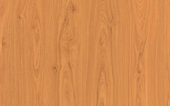 Oak Wood Laminate 8x4 ft Texture 1 mm - 8153 PU