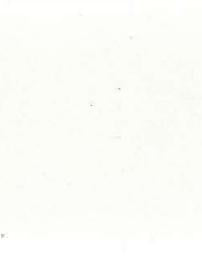 White suede finish laminate with plain color and smooth texture