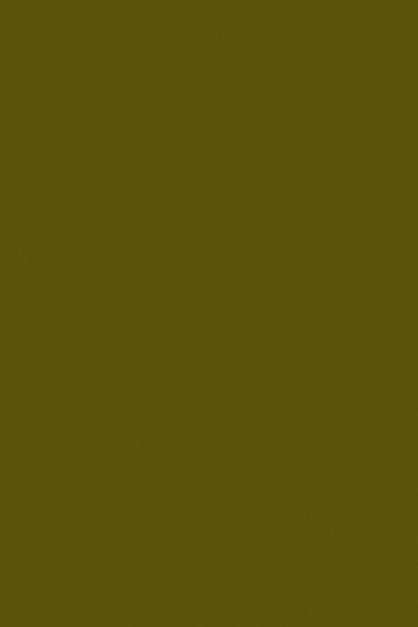 Kiwi Green Plain Laminate 8x4 ft High Gloss 1 mm - 821 SMR