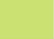 Light Green Plain Laminate 8x4 ft Suede 0.8 mm - 8318 SF