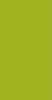 Fern Plain Laminate 8x4 ft Suede 0.8 mm - 8502 SF