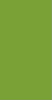 Fern Plain Laminate 8x4 ft High Gloss 0.8 mm - 8502 SG
