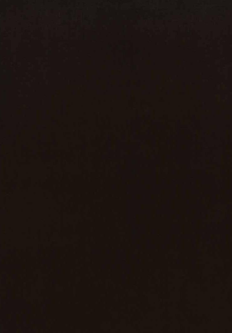 Decorative Plain Laminate 8x4 ft Texture 1 mm - 859 TS