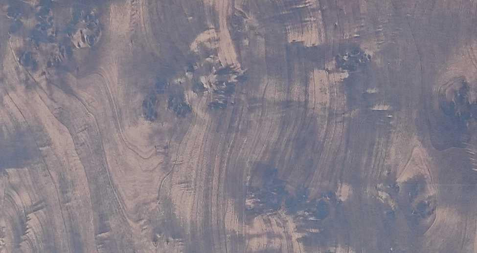 Dark-Burl Wood Laminate 8x4 ft High Gloss 0.8 mm - 8873 HGF