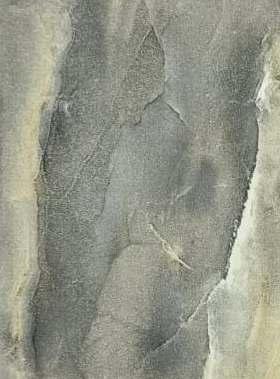 Belgium Granite Marble & Stone Laminate 8x4 ft High Gloss 0.8 mm - 8954 AHG