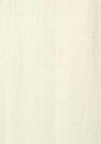 Advance Laminates Light Jaguar Teak 8x4 ft Texture wood laminates White 9013_DB