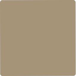 Beige Plain Laminate 8x4 ft High Gloss 0.82 mm - 9019 HGL