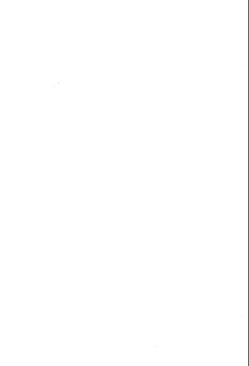 Bianka Plain Laminate 8x4 ft Suede 0.8 mm - 902 MS