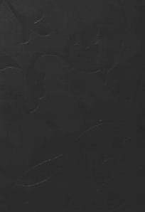 Advance Laminates Yew Laminate 8x4 ft Texture wood laminates Wenge 9072_FQ