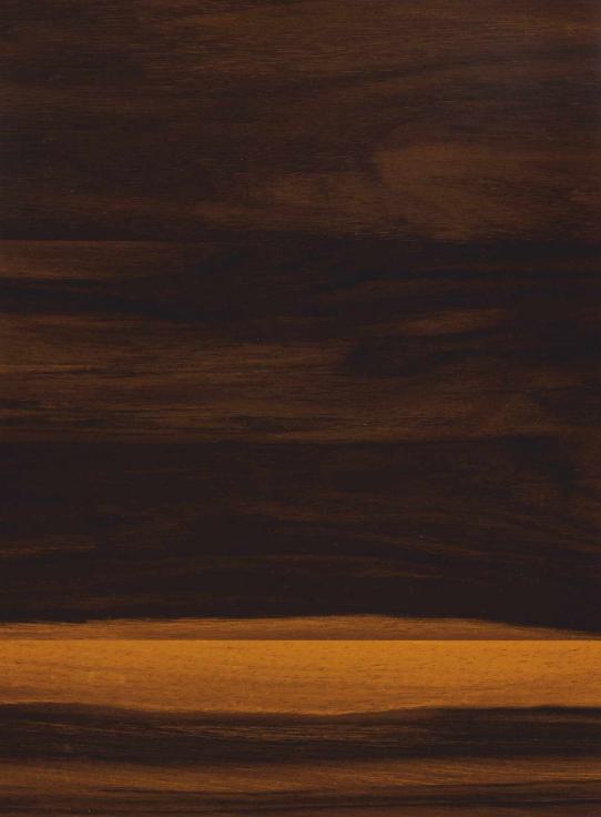 SHG French Walnut Wood Laminate 8x4 ft High Gloss 1 mm - 9076 HZ