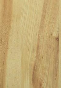 Shri Nagar Teak Wood Laminate 8x4 ft Glossy 0.8 mm - 9096 MG