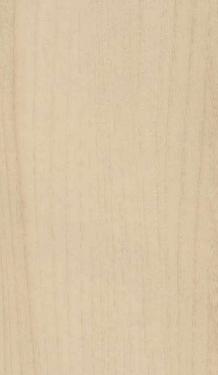 Alaska Wood Laminate 8x4 ft Texture 1 mm - 9109 SCW