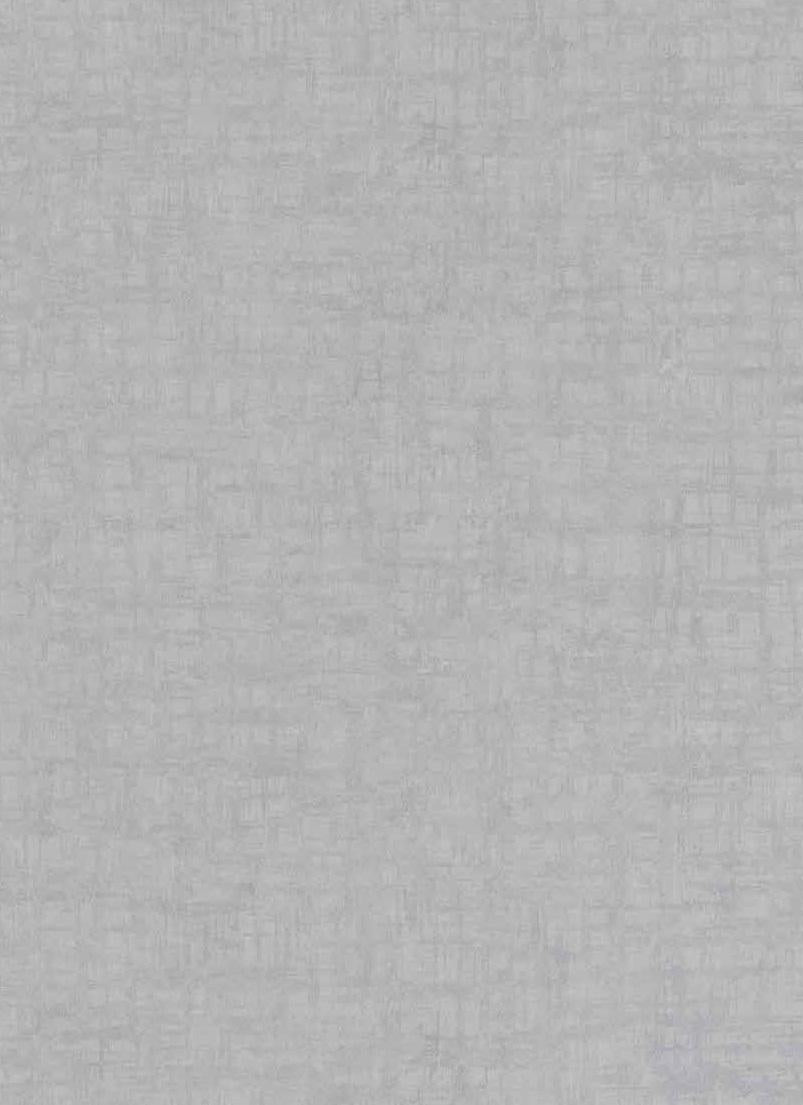 Silver Butte Designer Laminate 8x4 ft Suede 1 mm - 926 SU