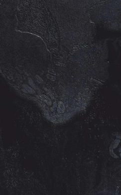 Grey Migas Marble & Stone Laminate 8x4 ft Texture 1 mm - 9308 SMY