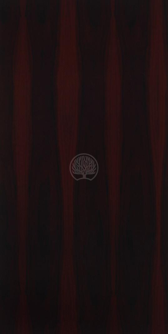 Spirit guides Wood Laminate 8x4 ft Texture 1 mm - 9809 SPF