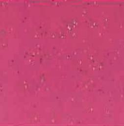 Pink Wood Laminate 8x4 ft Texture 0.8 mm - 986 GLT