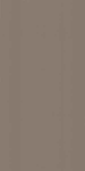 Darren Plank Wood Laminate 8x4 ft High Gloss 1 mm - 991 HG