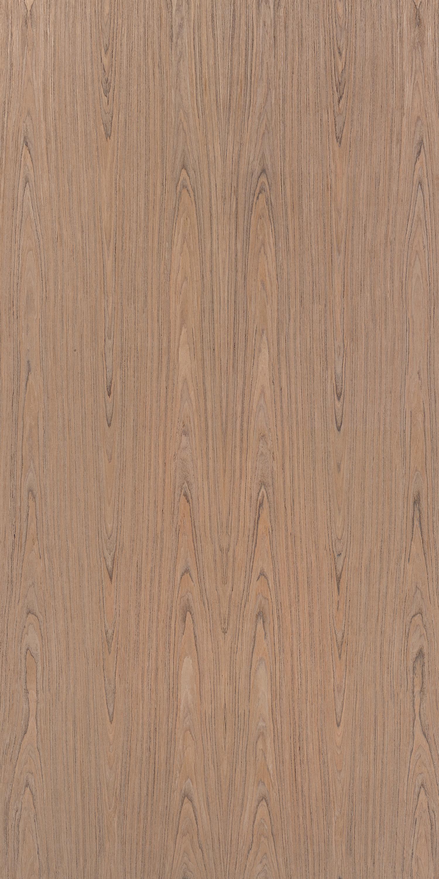 Inoui Veneers American Walnut Natural Veneer 8x4 ft Brown