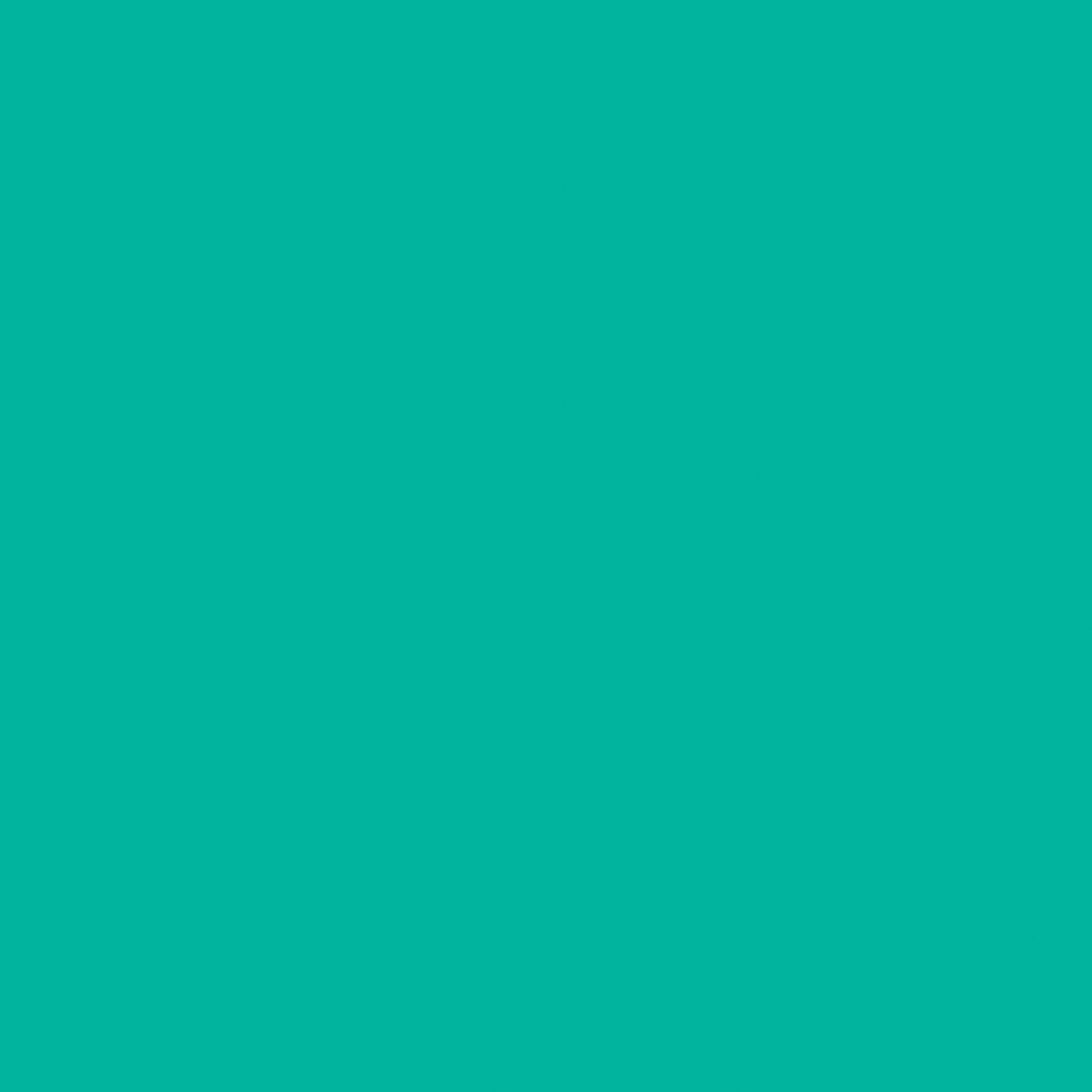 Chiffon Plain Laminate 8x4 ft Texture 1 mm - CF 224