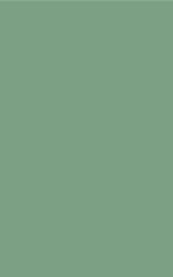 Soft Touch Plain Laminate 8x4 ft Matte 1 mm - CL 413